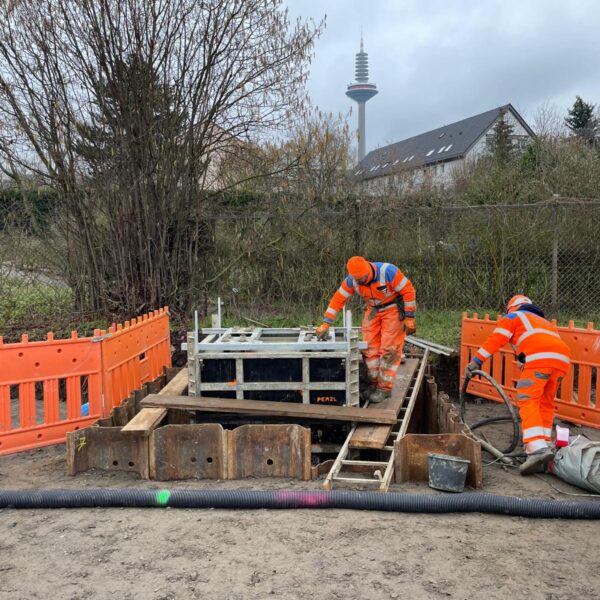 WhatsApp Image 2025 12 17 at 16.22.18